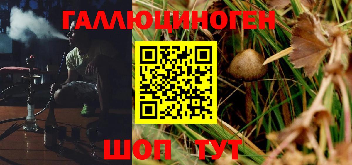 Псилоцибиновые грибы прущие грибы  Галлюциногенные грибы Psilocybe  Кирово-Чепецк  Вход с VPN 