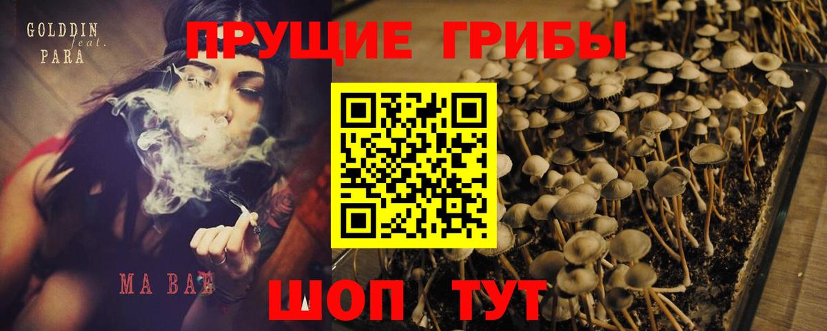 Псилоцибиновые грибы прущие грибы Кирово-Чепецк